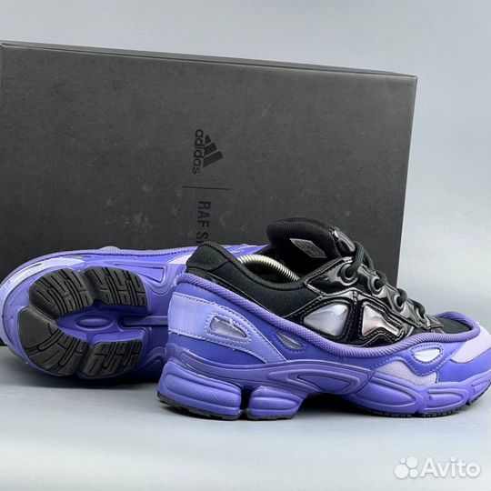 Adidas Raf Simons Purple