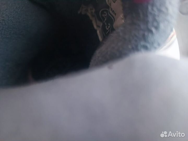 Коньки детские раздвижные