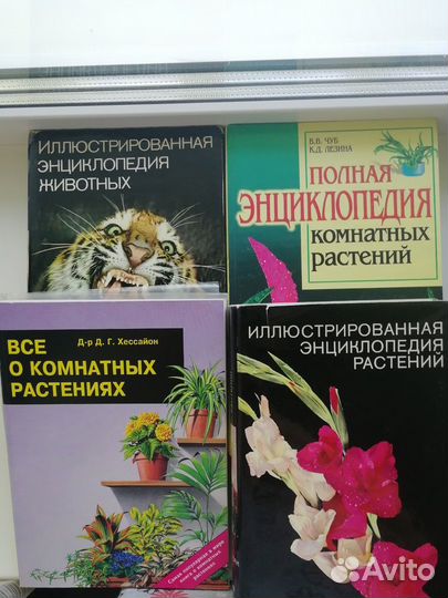 Книги Словари Энциклопедии