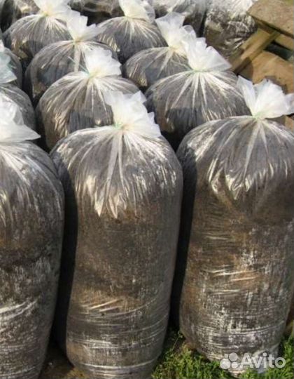 Конский навоз