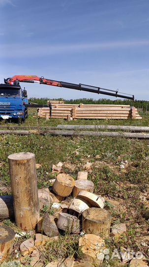 КАМАЗ 65117-N3 с КМУ, 2012