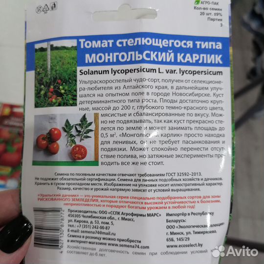 Рассада томатов для открытого грунта