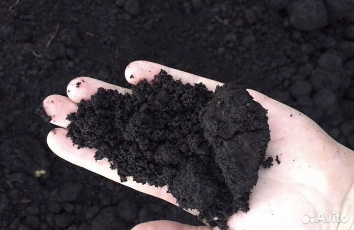 Земля, перегной