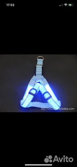 Светодиодный ошейник светящийся