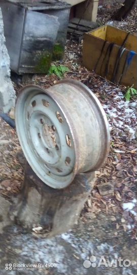 Диск от соболя