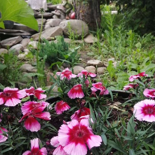 Дом 79 м² на участке 5,8 сот.