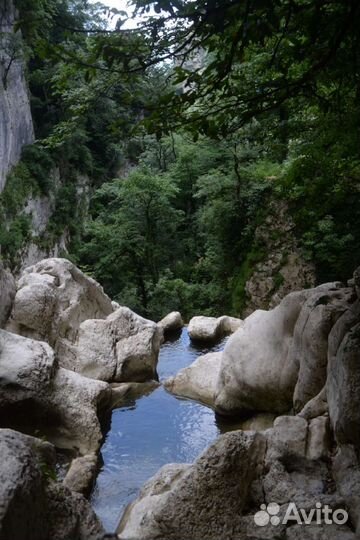 Фотопоходы в Сочи,Красной поляне