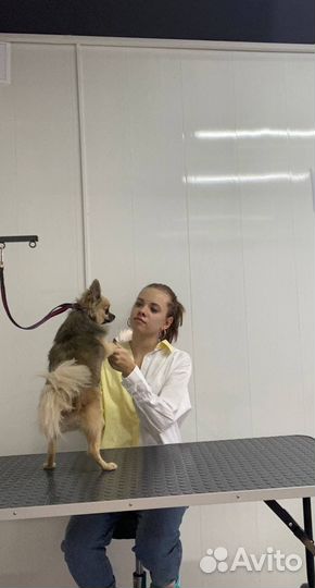 Стрижка животных