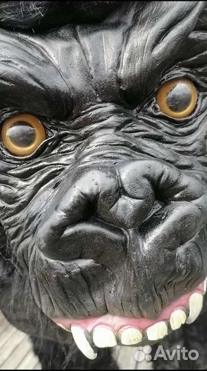 Поздравление