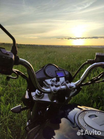 Winner 250/Stels Flex 250