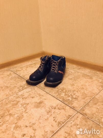 Лыжные ботинки