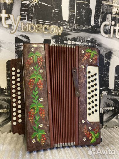 Гармонь Кубань