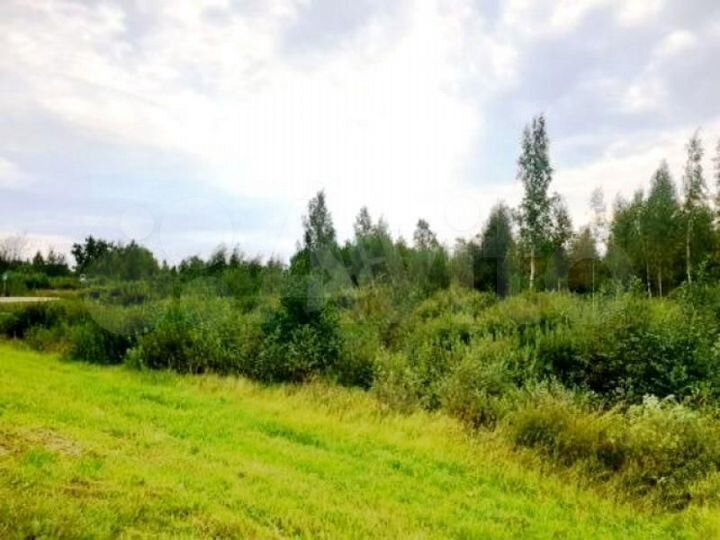 Участок 1,5 га (промназначения)