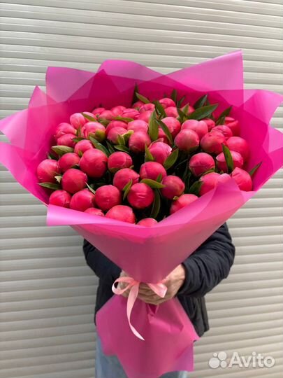 Букет из коралловые пионы 51 шт