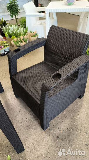 Садовая себель