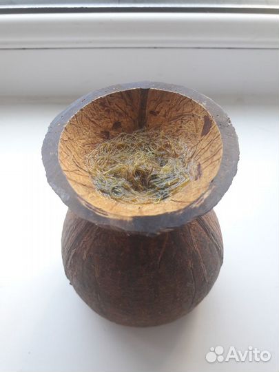 Бокал кокос.(Гвинея Бисау) +четки Гвинейский подар