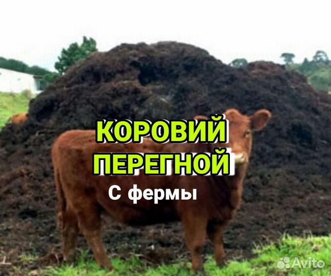 Перегной коровий