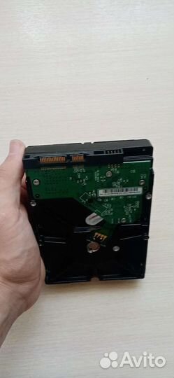 Жесткий диск wd 320gb