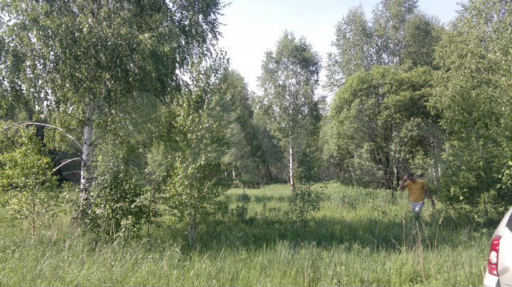 Участок 60 сот. (ИЖС)