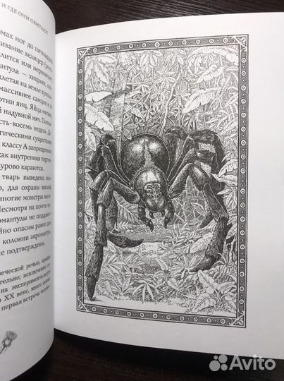 Дж.К. Роулинг - Фантастические твари