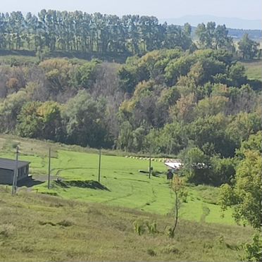 Продается пасека