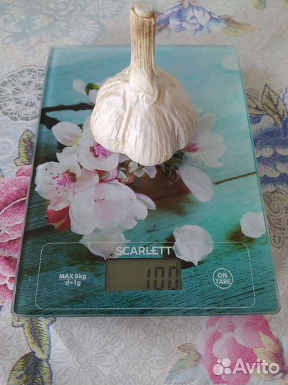Продам чеснок