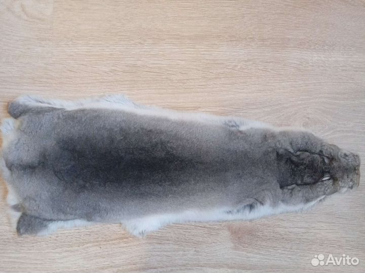 Шкурки шиншиллы