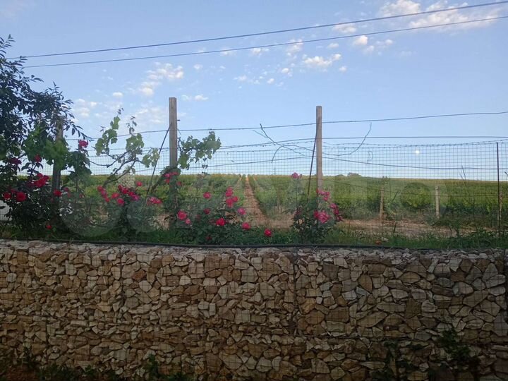 Квартира-студия, 35 м², 1/2 эт.