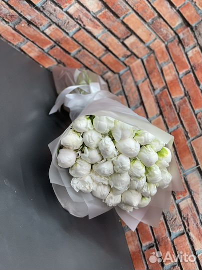 Пионы цветы