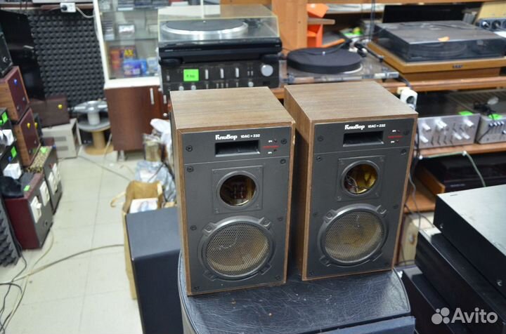 Корпуса колонок Кливер 10ас-232 состояние