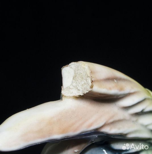 Статуэтка Попугай, Германия Карл Энс (Karl Ens)