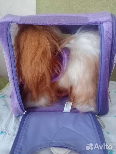 Игрушка Собака в сумке