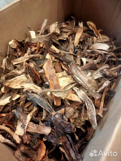 Грибы сушеные 2023г