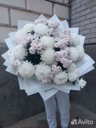 Букеты из хризантем цветы