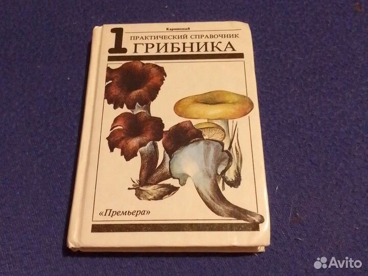 Книжка и про грибы