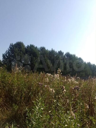 Дом 26,5 м² на участке 15 сот.