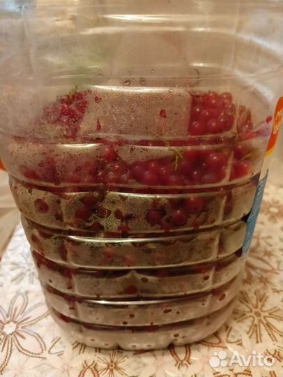 Красная смородина бесплатно 1,6 кг