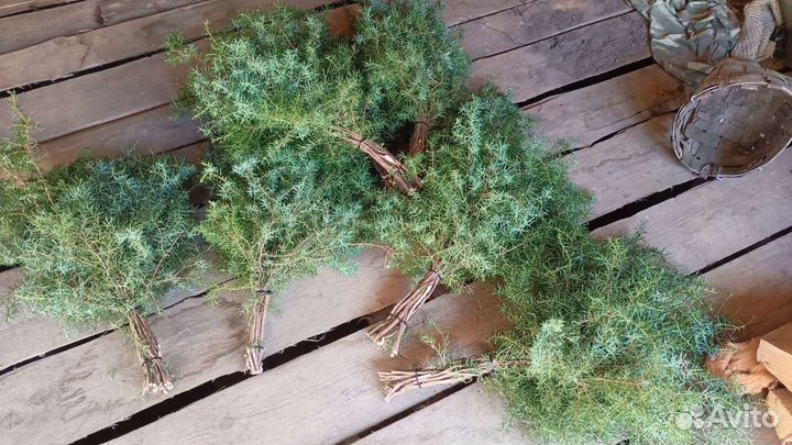 Веники из можжевельника