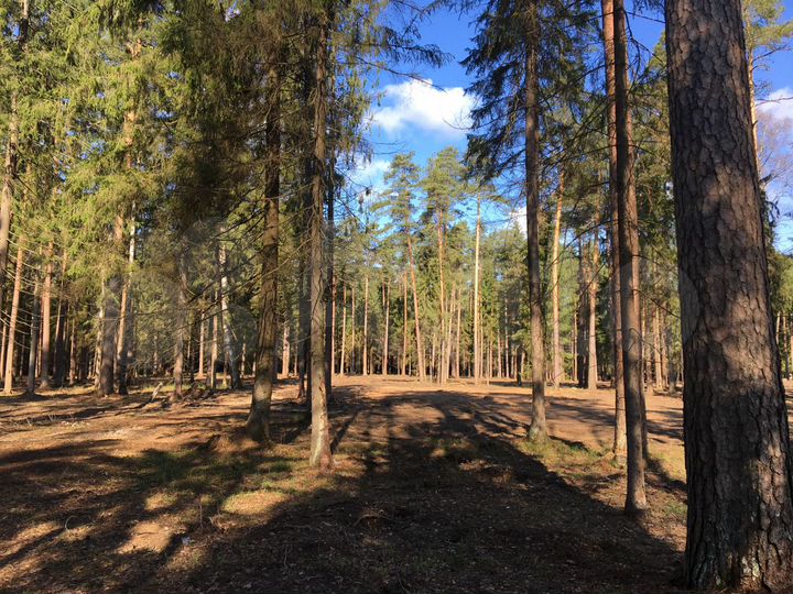 Участок 10 сот. (ИЖС)