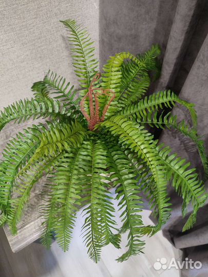 Искусственные деревья глициния, манго, фикус