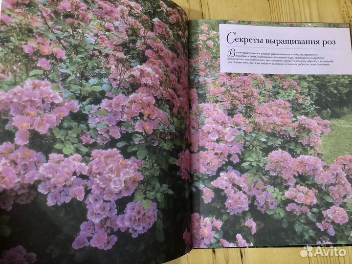 Книги о Розах Цветоводство