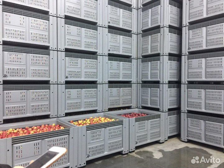 Большие Пластиковые Ящики Контейнеры Краснодар