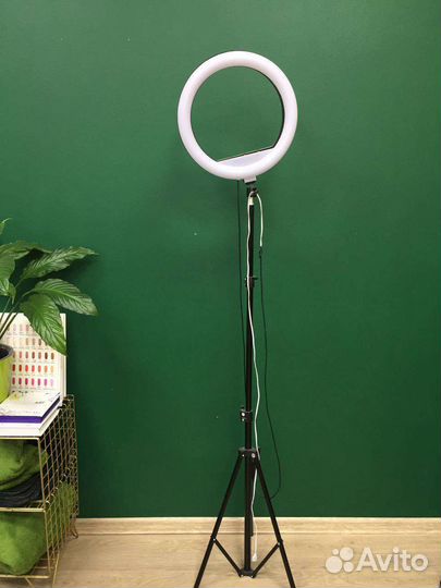 Кольцевая лампа