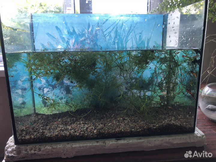 Аквариум с рыбками б/у
