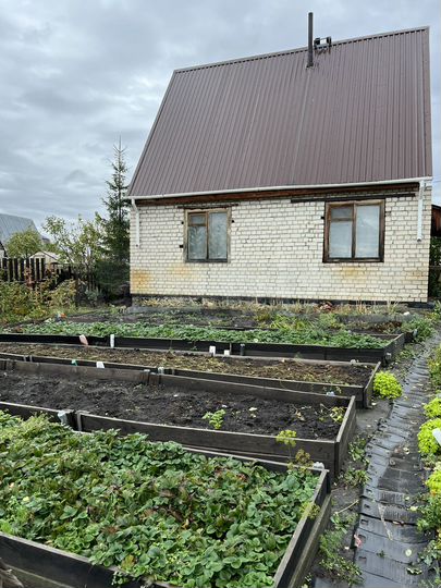 Дача 40 м² на участке 6,6 сот.