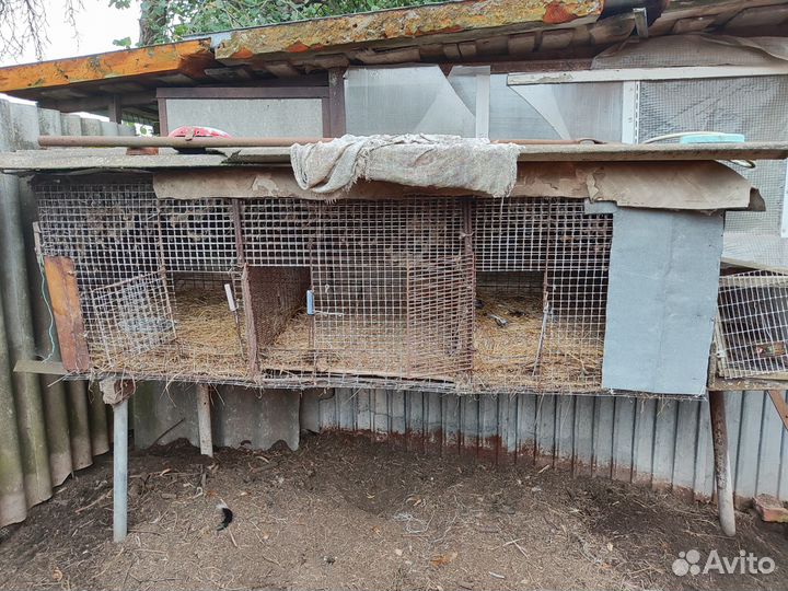Клетка для кролика и птицы