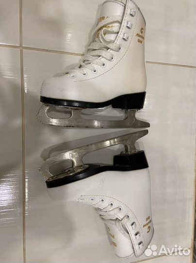 Коньки graf montana gold