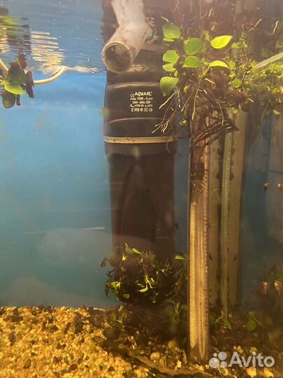 Аквариум с тумбой 170 литров