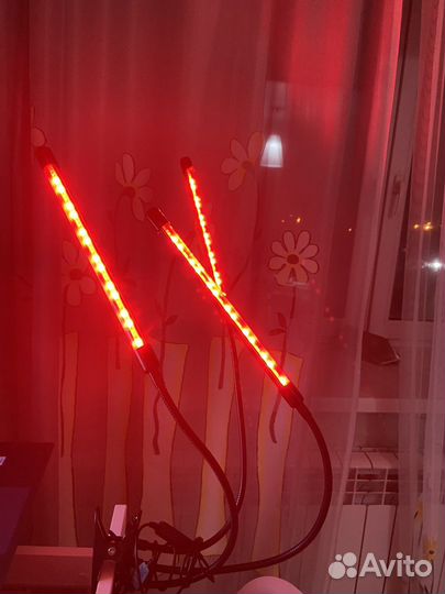 Фитолампа для растений