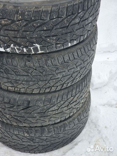 Tigar Winter 215/50 R17 95V